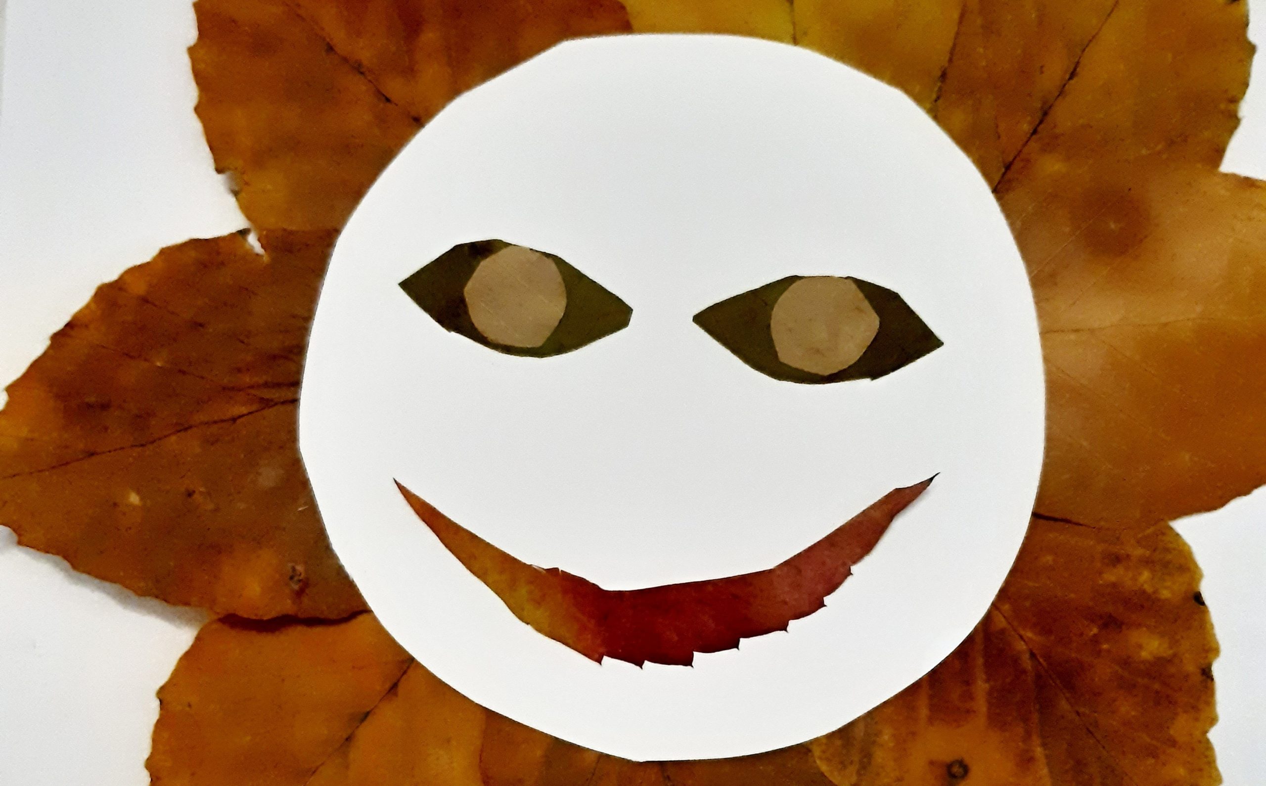 Sluníčko z listí